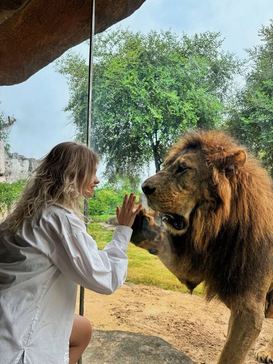 Саша Квашеная отбивает пятюню льву в зоопарке Бали